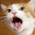 MoarNao's picture